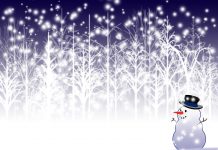 Rural Spectrum Scanner Takes Holiday Break