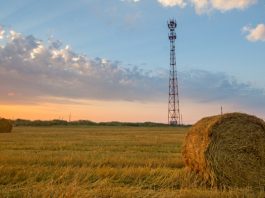 Extension of MF-II Challenge Deadline Forthcoming in Circulating Order