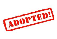 BLM Adopts Final Public Land Rule Prioritizing Conservation on Federal Land