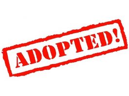 RDOF Order Adopted with Changes and Despite Data Concerns